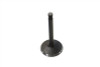 Sifton - Nitrate Steel Intake Valve