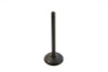Motorshop - 1200cc Nitrate Steel Intake Valve