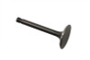 Motorshop - Nitrate Finish Exhaust Valve