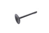 Sifton - 1200cc Nitrate Steel Intake Valve