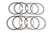 Hastings Rings #6627-030 - 61 inch Overhead Valve Piston Ring Set .030