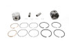 Motorshop - Replica 883cc 3 inch Piston Set Standard Size