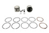 Motorshop - 74 inch Overhead Valve 3-7/16 inch Piston Set Standard Size