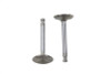 Manley #99000-2 - 900cc Stainless Steel Exhaust Valve