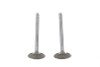 Manley #99080-2 - 883cc Stainless Steel Intake Valves