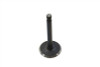 Motorshop - Nitrate Intake Valve