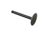 Motorshop - Nitrate Intake Valve