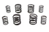 V-Twin - Valve Spring Set