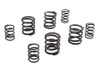 V-Twin - Valve Spring Set
