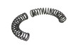 V-Twin - Pawl Carrier Spring Set