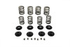 Motorshop #15 0028 - Valve Spring Kit