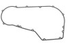 Ultima #77-743 - Ultima Primary Cover Gasket Foamet
