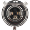 Peak Lighting #6263-BPP - Halogen Bulb - H4 - 100/55W