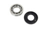 Motorshop - Inner Primary Cover Bearing Kit