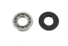 Motorshop - Inner Primary Cover Bearing Kit