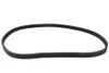 Belt Drive LTD. #BDL PA-133-118 - 1-1/8 inch Carlisle Panther Rear Belt 133 Tooth