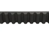 Belt Drive LTD. #BDL PA-133-118 - 1-1/8 inch Carlisle Panther Rear Belt 133 Tooth