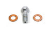 Colony - Brake Hose Banjo Bolt Allen Type 10mm