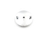 Motorshop - Rear Brake Backing Plate Kit Chrome