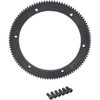 Drag Specialties - Starter Ring Gear 102 Tooth - Harley Davidson