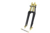 V-Twin - 22 inch Spring Fork Kit Black with Brass Accents
