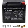 Yuasa #YUAM420BS - AGM Battery - YTX20L