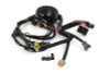 V-Twin - Main Wiring Harness