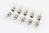 V-Twin - Tail Lamp Bulb 6 Volt