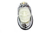 V-Twin #78658G - Indian Face Front Fender Lamp Gold and Chrome