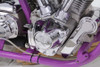 V-Twin #25250-91T - Cam Cover Trim Chrome