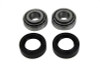 V-Twin - Swingarm Bearing and Seal Kit