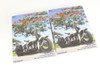 DP Publications #36-65 2 VOL SET - Bruce Palmer Restoration Manual Set