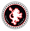 V-Twin - Hallcrafts Patches