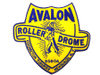 V-Twin #68117 - Avalon Newburgh Patches