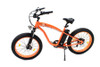 V-Twin #750W E-BIKE - E-Bike 36 Volt 750 Watt
