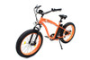 V-Twin #750W E-BIKE - E-Bike 36 Volt 750 Watt