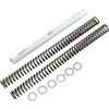 Race Tech #FRSP S2938095 - Fork Springs - 0.95 kg/mm