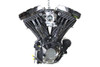V-Twin - Evolution 80 inch Long Block