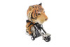 V-Twin - Big Head Tiger Animal Rider Toy