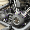 Hogworks Hogworkz® Full Engine Bolt Kit for M8 Harley® Touring & Softail | Purple