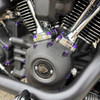 Hogworks Hogworkz® Full Engine Bolt Kit for M8 Harley® Touring & Softail | Purple