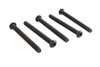 Colony - Allen Button Head Screws Black 1/4-20 X 2-1/2 inch