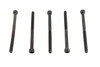 V-Twin - 6-32 X 2 inch Allen Socket Cap Screw Black