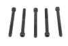 V-Twin - 1/4 inch-20 x 2-1/2 inch Allen Socket Cap Screw Black