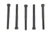 V-Twin - 1/4 inch-20 x 2-1/2 inch Allen Socket Cap Screw Black