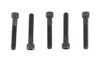 V-Twin - 5/16 inch-18 x 2 inch Allen Socket Cap Screw Black