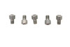 V-Twin - 1/4 inch-20 x 5/16 inch Allen Socket Cap Screw Stainless Ste