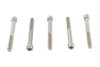 V-Twin - 1/4 inch-20 x 2-1/4 inch Allen Socket Cap Screw Stainless St