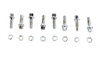 Colony - Chrome Tappet Block Hex Screw
