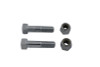 Colony #123-14 - Passenger Footpeg Dome Bolt